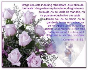 dragoste-sau-obisnuinta-poveste-de-dragoste