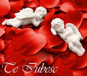 cadouri-ziua-indragostitilorcadouri-cu-noroccadouri-cu-ghinion