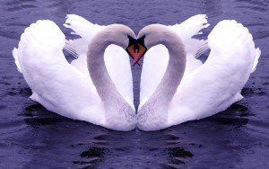 valentines