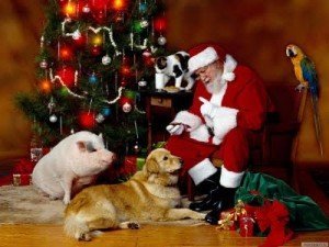 wallpapers-de-craciun1