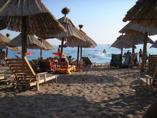 on-the-beach