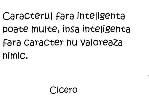 citate despre caracter
