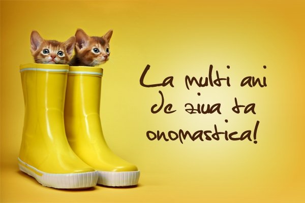 Cele mai speciale sms-uri zi onomastica