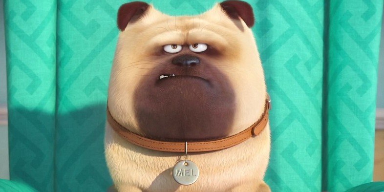 the secret life of pets